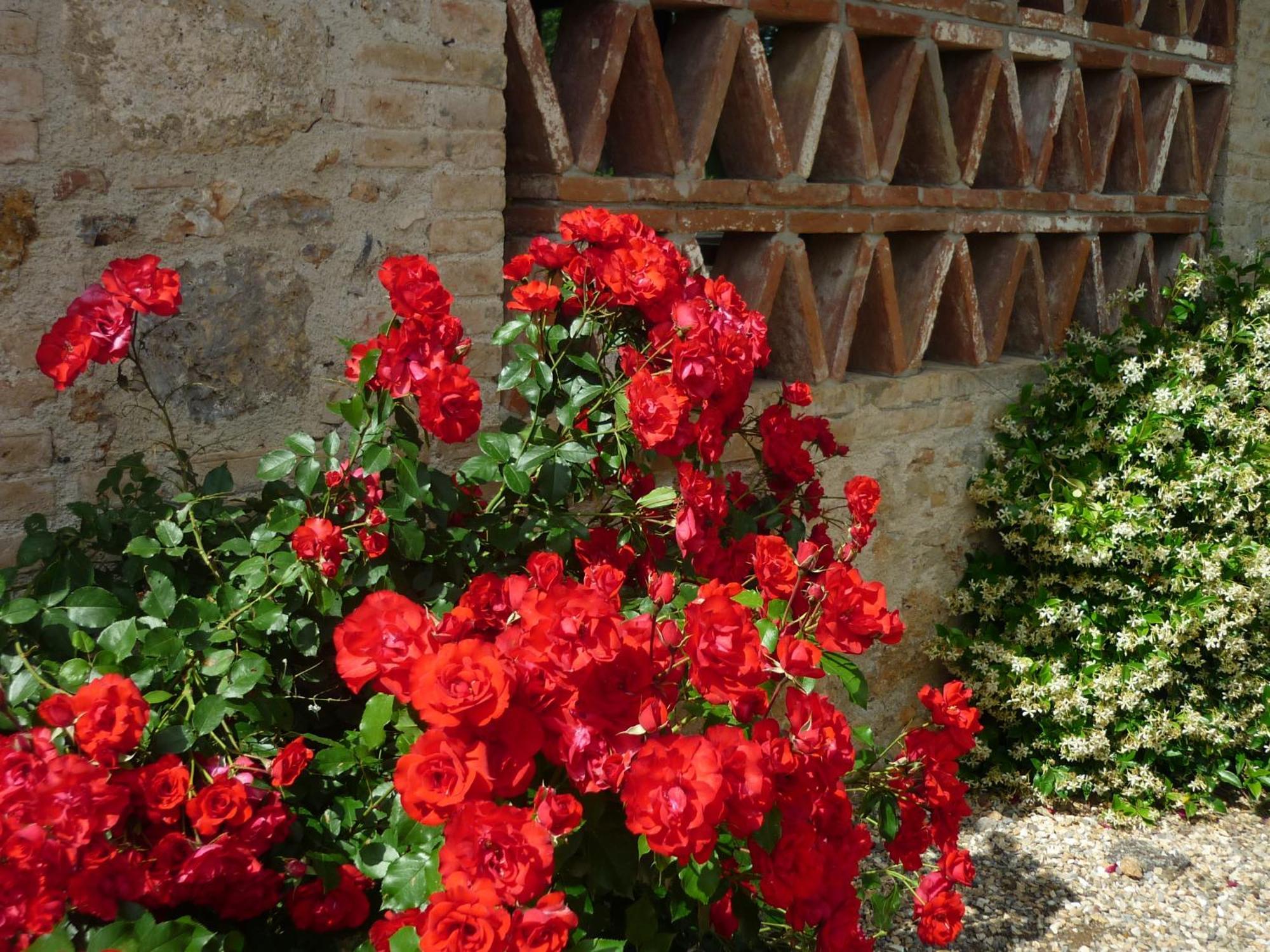 Fattoria Agriturismo Nerbona Casole dʼElsa Extérieur photo