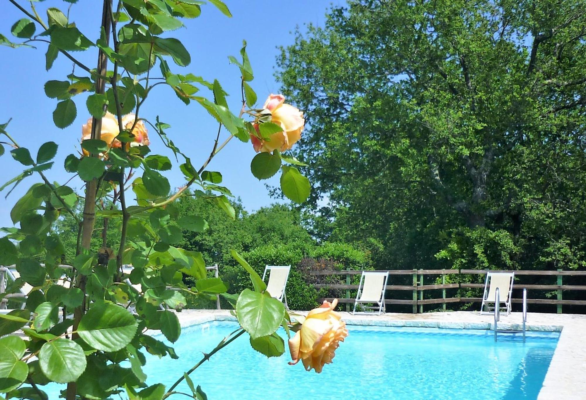 Fattoria Agriturismo Nerbona Casole dʼElsa Extérieur photo