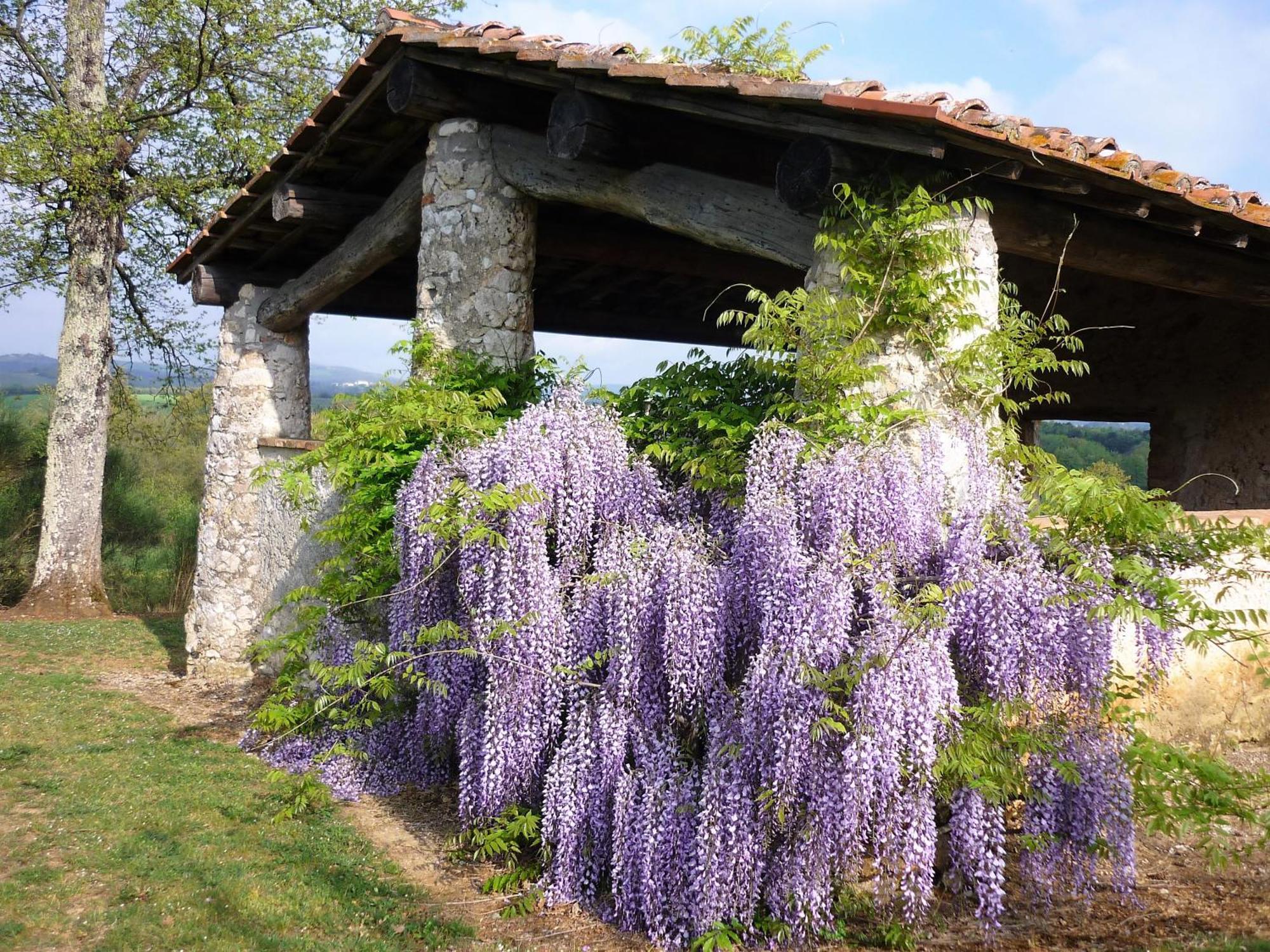 Fattoria Agriturismo Nerbona Casole dʼElsa Extérieur photo